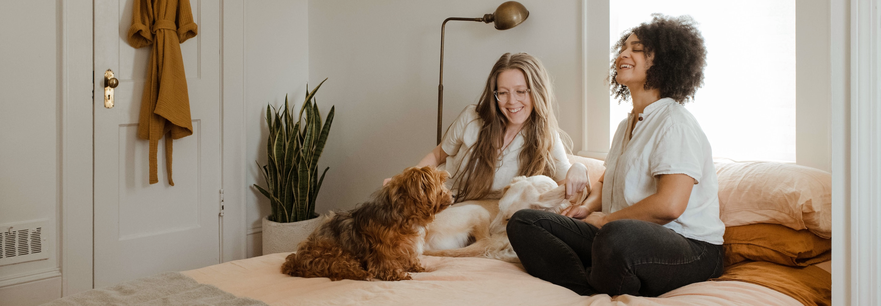 Duas pessoas aproveitando um momento de tranquilidade em casa com seus cães